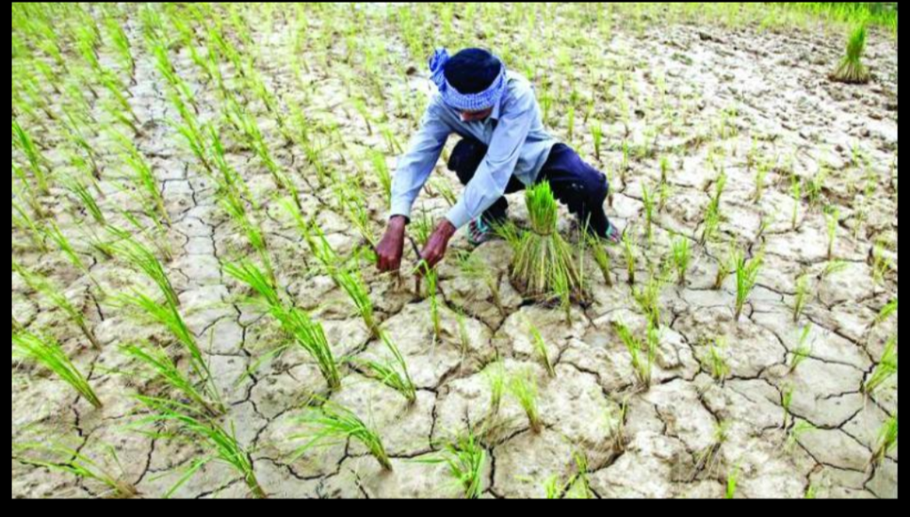 Southwest Monsoon 2026 Ends with Shortfall in Telangana – No Major Rain Expected Soon