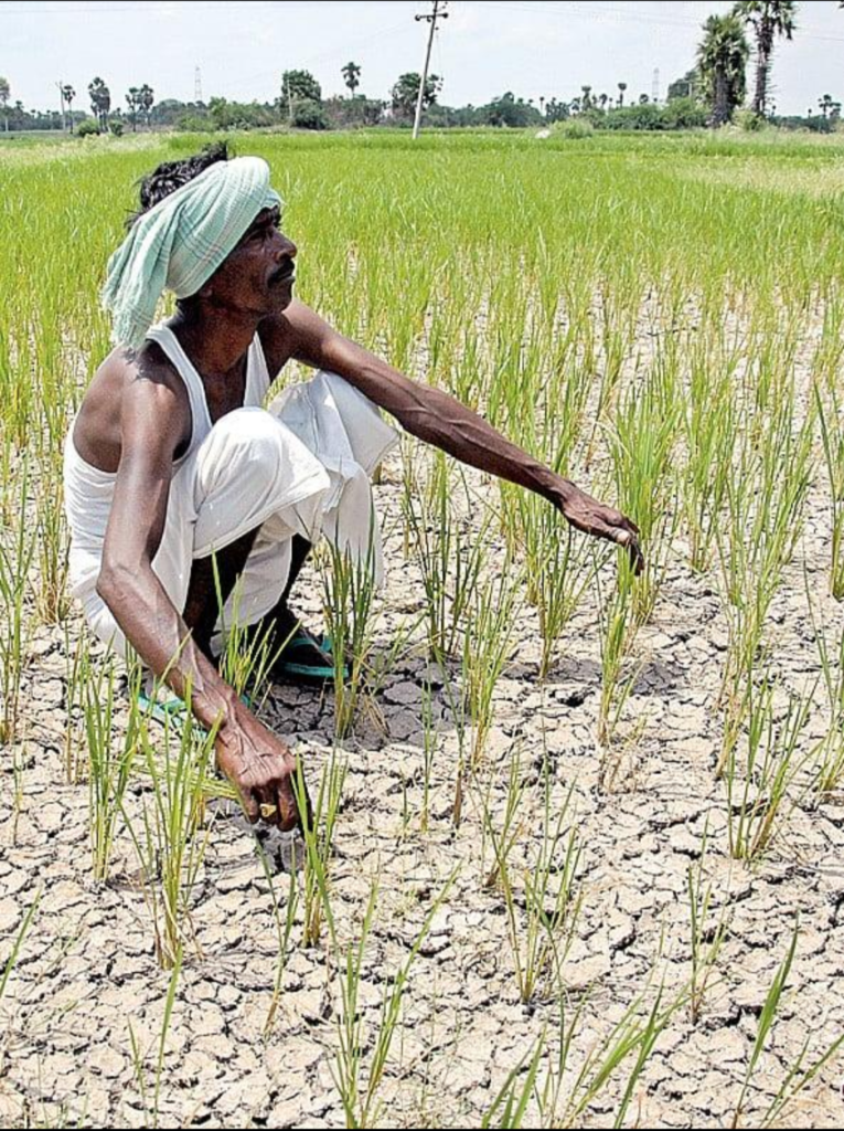 Dried agricultural land and low water levels in Telangana reservoirs amid 17% monsoon rainfall deficit and drought alert